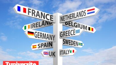 Où trouve-t-on le plus grand nombre de diplômés universitaires en Europe