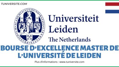 Bourses d'Excellence Master de l'Université de Leiden