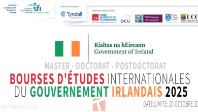 Programme de Bourses d'Études du Gouvernement Irlandais 2025