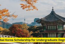 Global Korea Scholarship (GKS) for Undergraduate Degrees