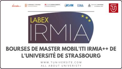 Bourses de Master Mobil'ITI IRMIA++ de l'Université de Strasbourg