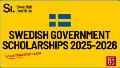 Swedish Government Scholarships