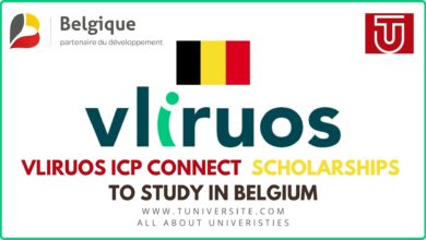 VLIRUOS ICP Connect Scholarships to Study in Belgium