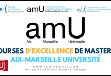 Bourses d'excellence Master TIGER aix marseille université