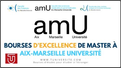 Bourses d'excellence Master TIGER aix marseille université