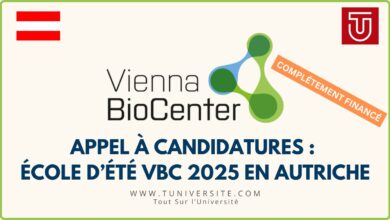 École d’Été VBC 2025 en Autriche