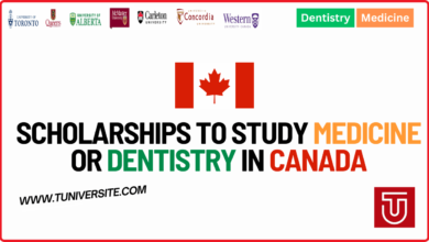 Scholarships to Study Medicine or Dentistry in Canada