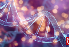 Classement des meilleures universités canadiennes en Sciences de la Santé