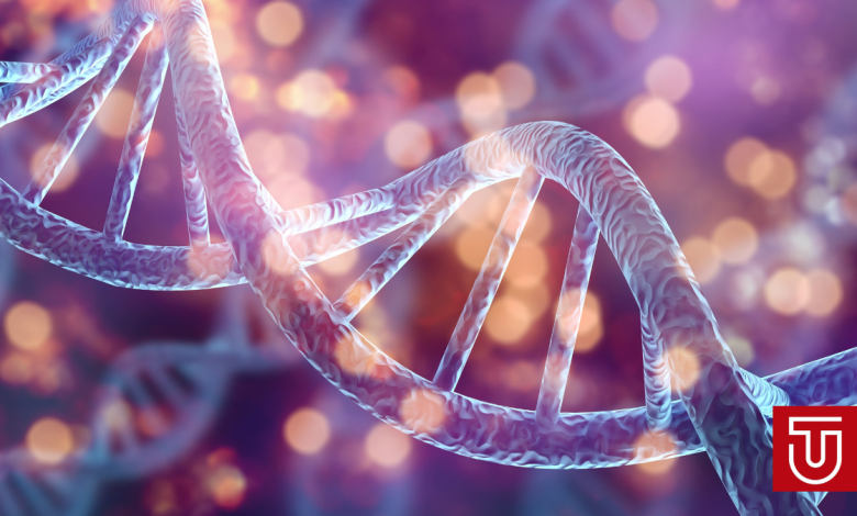 Classement des meilleures universités canadiennes en Sciences de la Santé