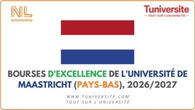 Bourses d'Excellence de l'Université de Maastricht (Pays-Bas), 2026