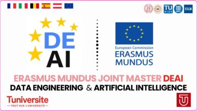 Erasmus Mundus JOINT Master DEAI Data Engineering & Artificial Intelligence