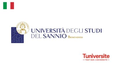 Bourses de Doctorat Entièrement Financé à l'Université de Sannio en Italie